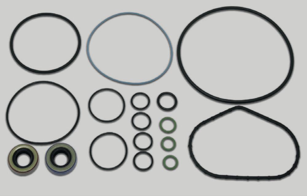 ARM8841 - CP2H PUMP REPAIR KIT