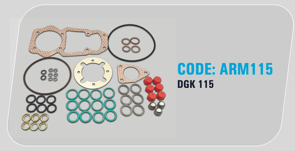 ARM115 - GASKET KIT F00E200114 - DGK115